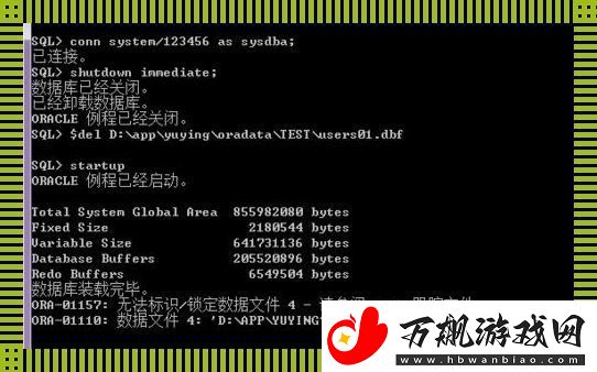 Oracle备份与恢复