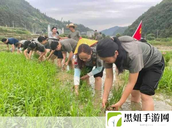 情侣24种插秧法:1. 创意插秧法:情侣间的小秘密与默契