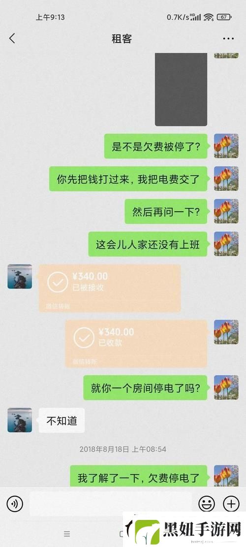 租房新贵-科技界的隐形房东