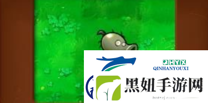 植物大战僵尸杂交版僵尸豌豆厉害吗-僵尸豌豆信息展示