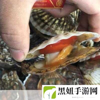 被吃扇贝的感觉：1. 被扇贝吞噬的奇妙体验