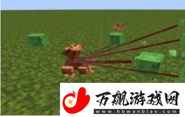 我的世界青蛙有什么用