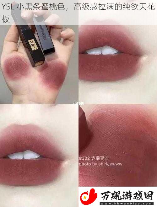 YSL-小黑条蜜桃色-高级感拉满的纯欲天花板