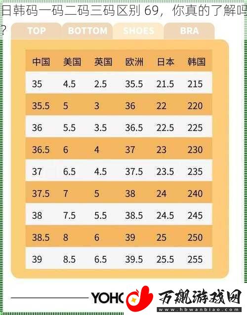 日韩码一码二码三码区别-69-你真的了解吗