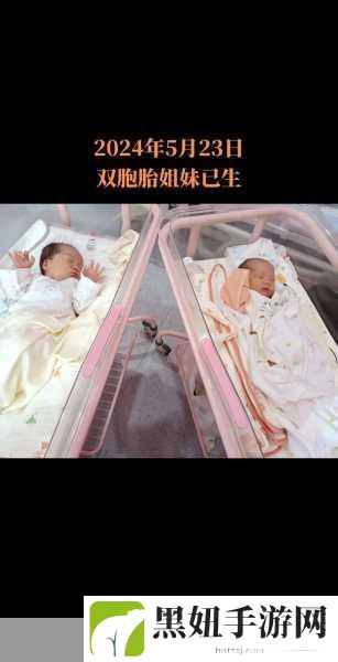 双胞胎一前一后夹心饼干双子全攻略：1. 双胞胎夹心饼干的创意食用指南