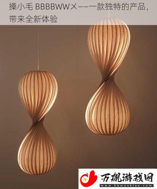 搡小毛-BBBBWW㐅——一款独特的产品-带来全新体验