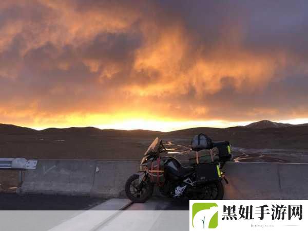 无人区一码二码乱码区别在哪：1. 无人区一码二码乱码的深层解析与影响