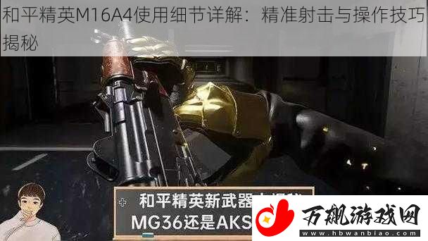 和平精英M16A4使用细节详解
