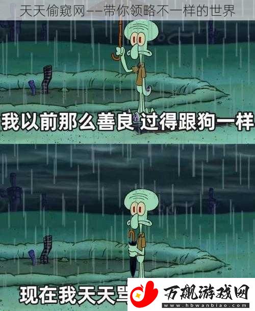 天天偷窥网——带你领略不一样的世界