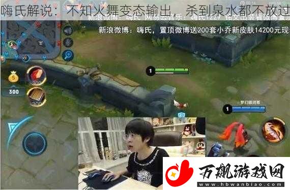 嗨氏解说
