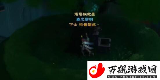 塔瑞斯世界银辉城宝箱在什么地方