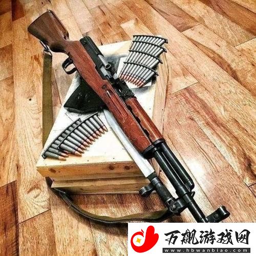 “朝鲜家伙的火器秀