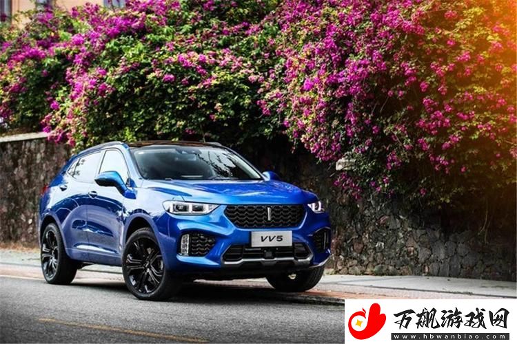 weyvv8国产的suv
