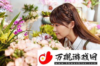 高清windows免费版观看视频