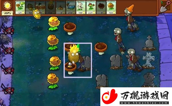 植物大战僵尸杂交版冒险5关怎么玩
