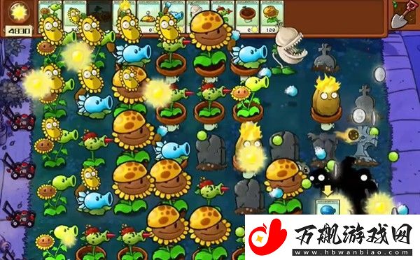 植物大战僵尸杂交版冒险5关怎么玩