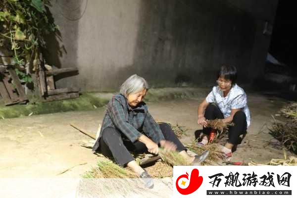 耕耘大婶的肥沃的土地