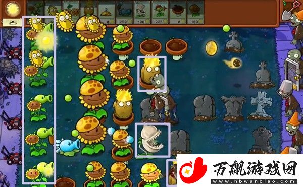 植物大战僵尸杂交版冒险5关怎么玩
