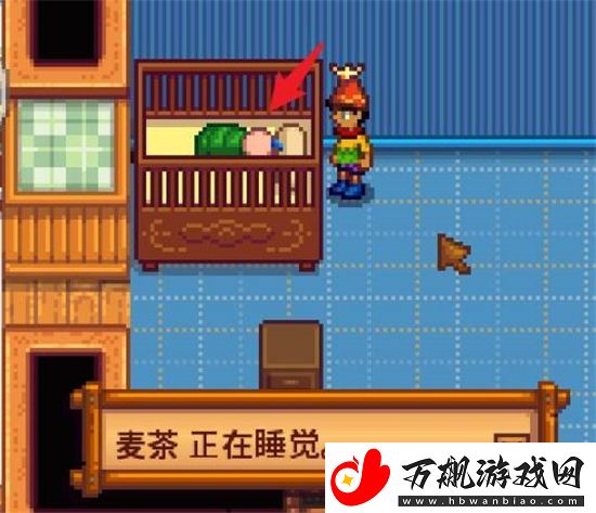 星露谷物语怎么生孩子
