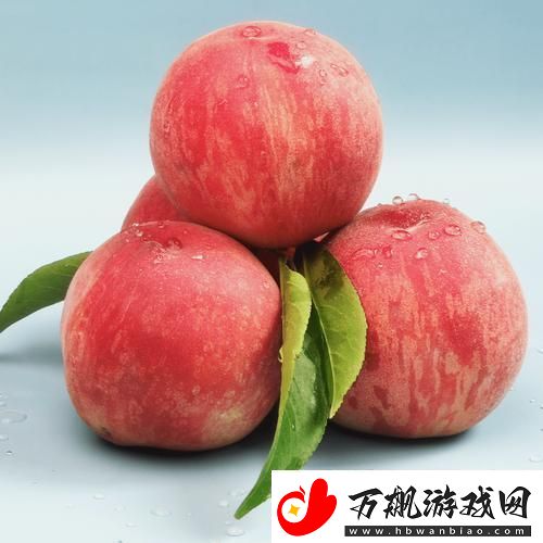 “桃”醉科技
