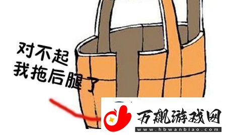 地域拖油瓶是什么梗网络用语