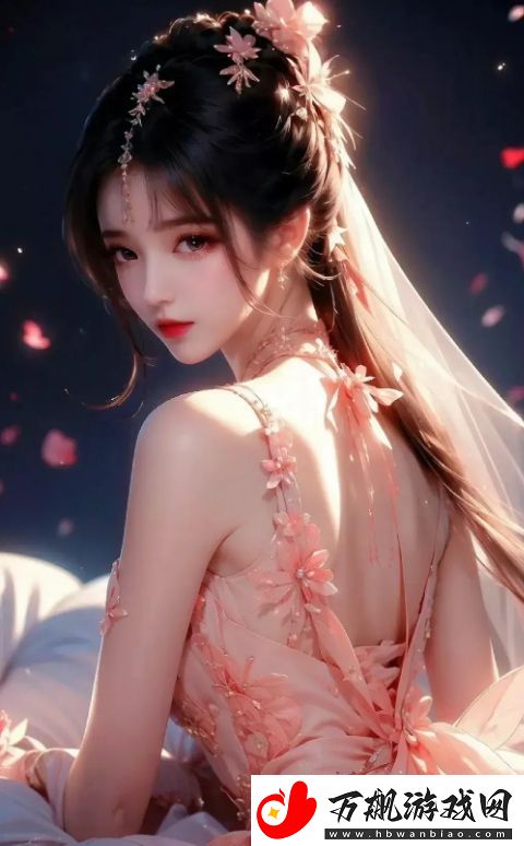 高清线与视频线有何不同