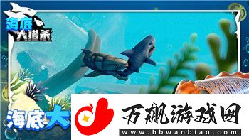辐射避难所小知识