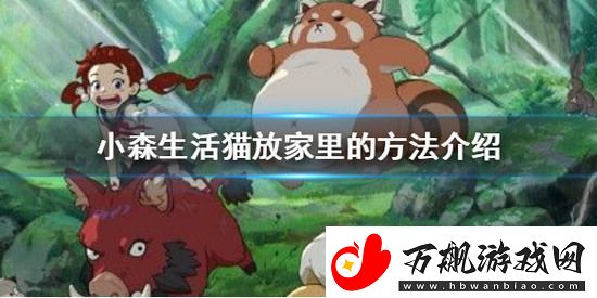 小森生活猫如何放在家里