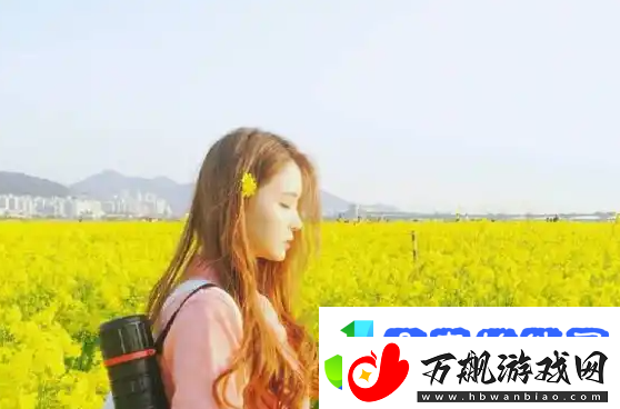 成品大香伊煮和小辣椒的用途