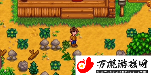 星露谷物语农场哪个好