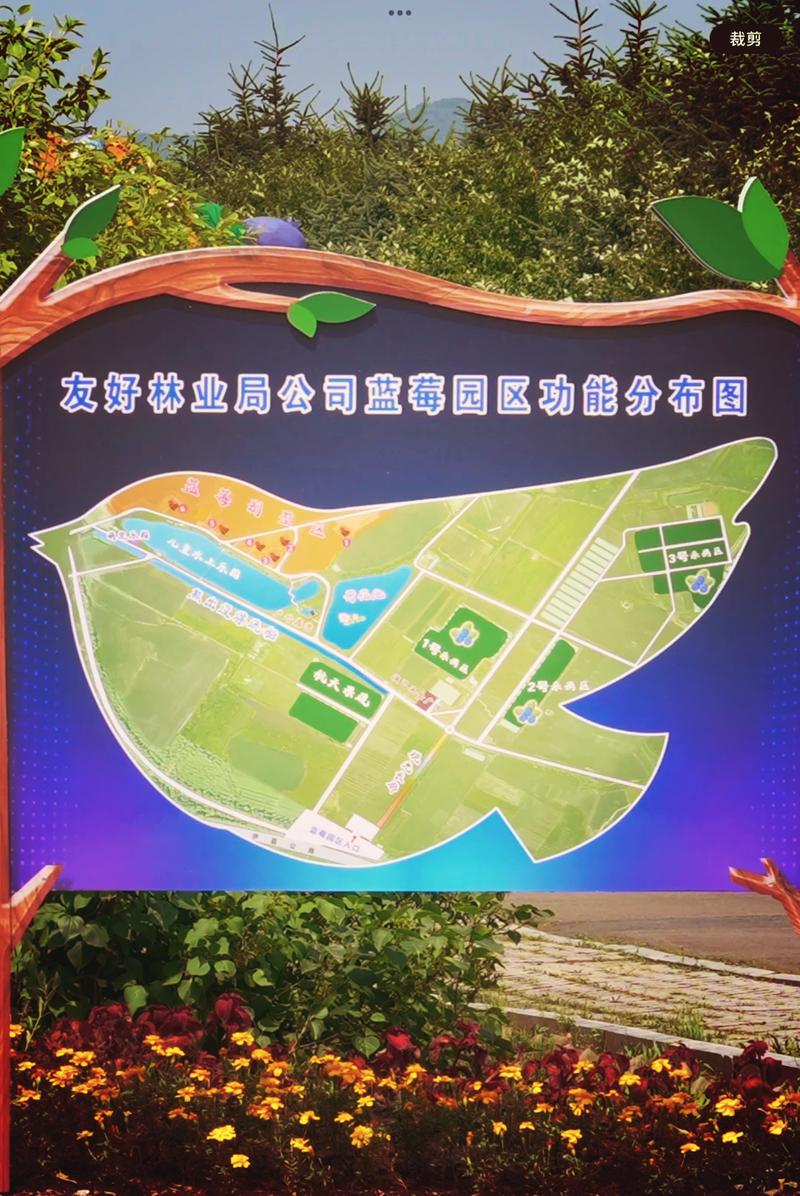 伊春园2025入口直达大象