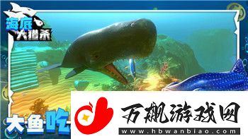 重建家园S级宠物怎么抓
