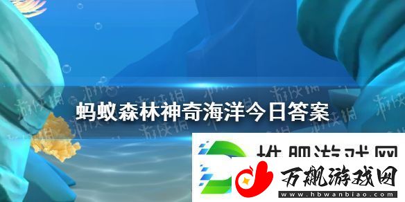 哪种珊瑚有“会走路的珊瑚”之称