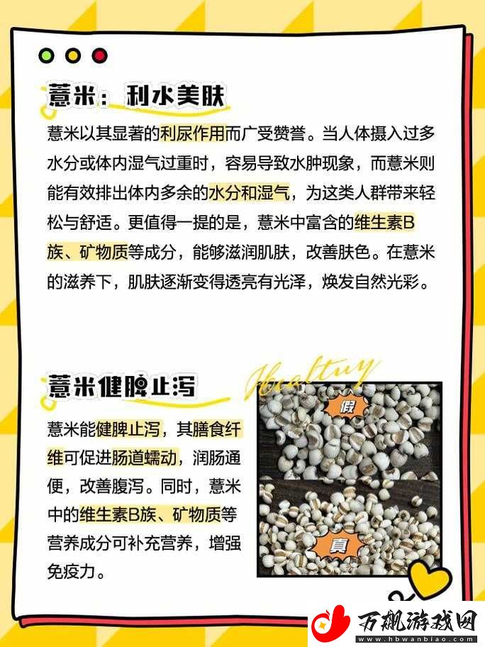 江南百景图游戏中薏米获取途径及详细方法全面介绍