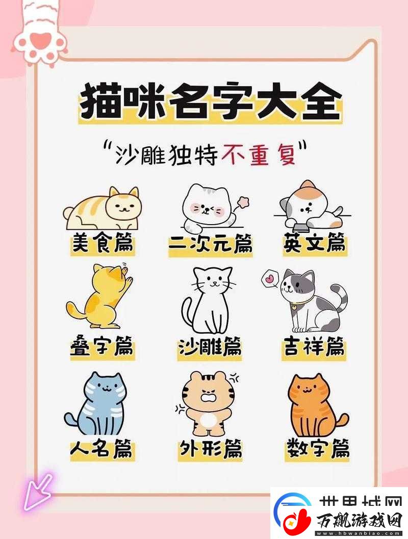 猫咪视频最新地域名怎么取的创意取名思路及示例探讨