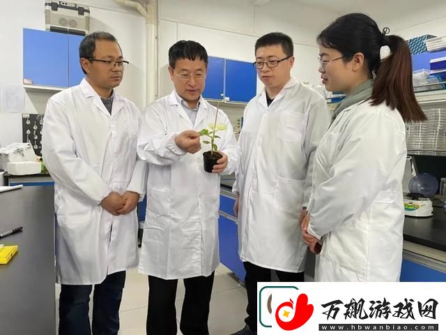 畜牧新篇
