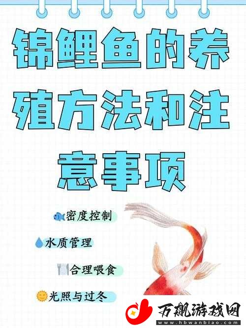 一夹一放怎么放和锦鲤吸水区别是什么之深入探究与详细解析